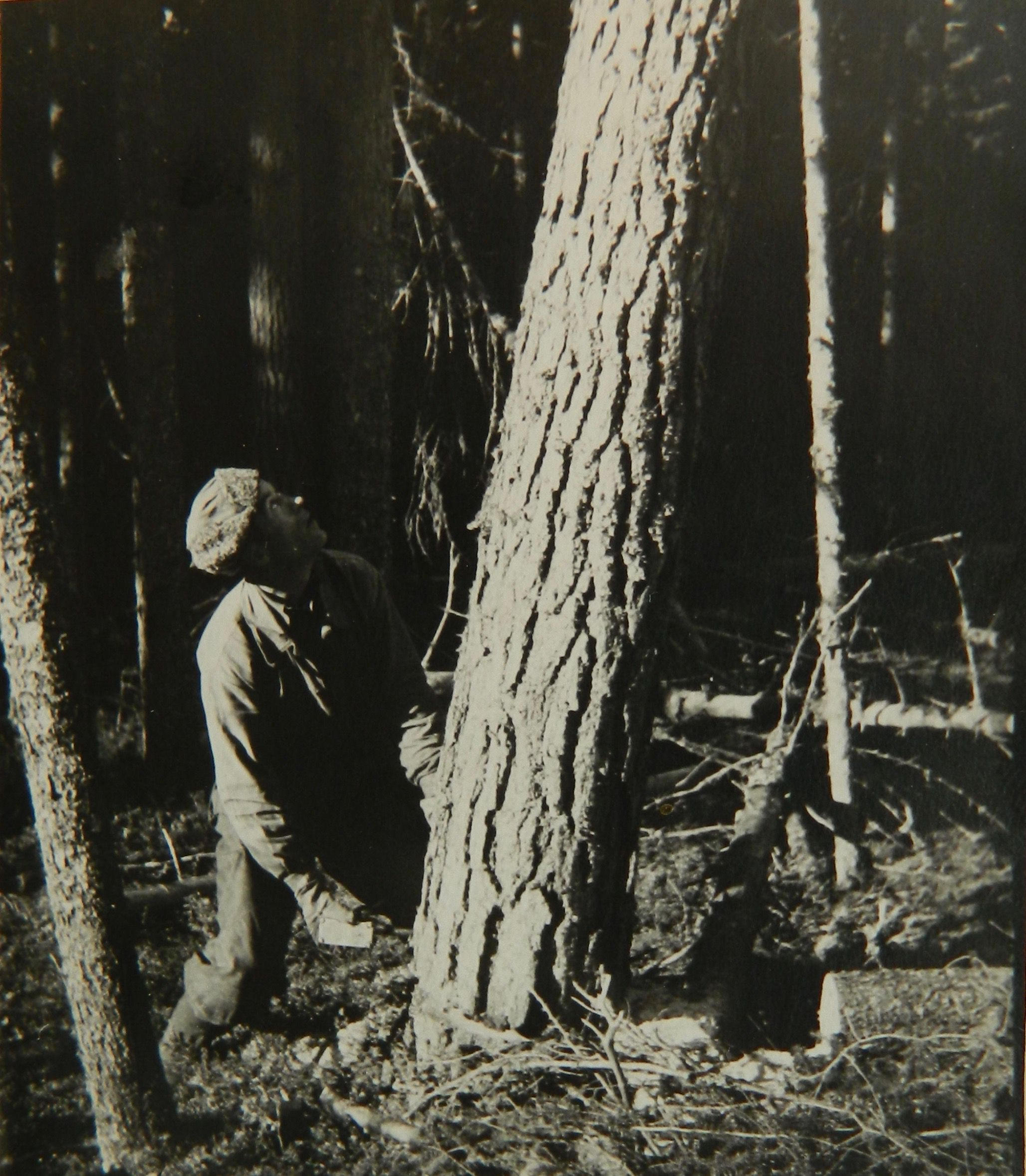 Onni Eskolin oli yksi monista toisen maailmansodan aikana Tšeljabinskiin työarmeijaan joutuneista suomalaisista. Kuva Eskolinista puunkaadossa on otettu jo hänen vapautumisensa jälkeen 1950-luvulla. SKS KRA, Rinne-perheen arkisto. CC BY-NC-ND 4.0