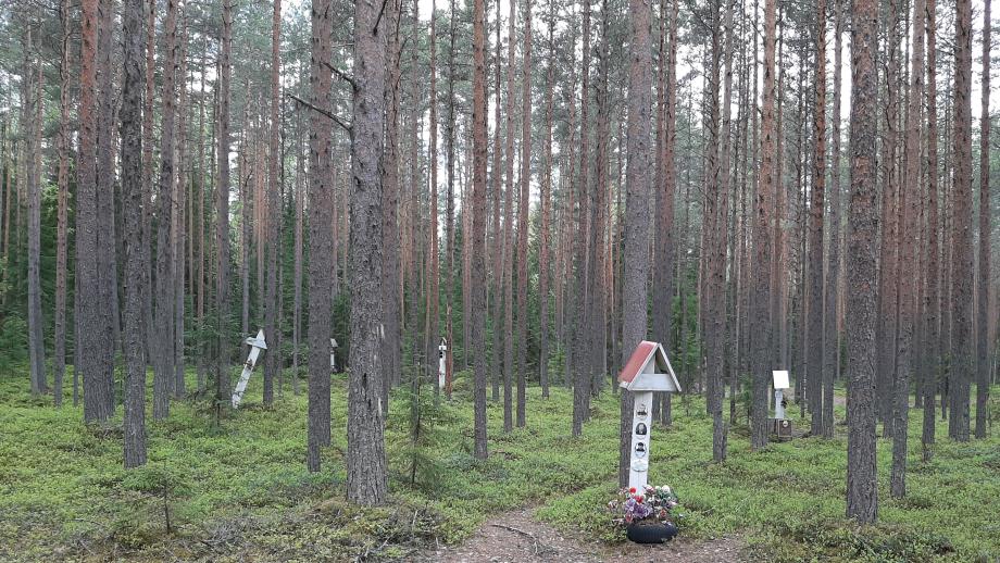 Maisemakuva Punakankaan joukkoteloituspaikalta. SKS KRA, Rinne-perheen arkisto. CC BY 4.0